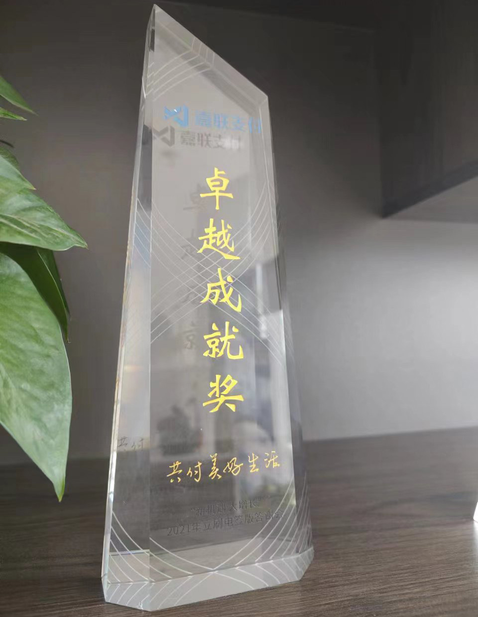 荣誉资质4